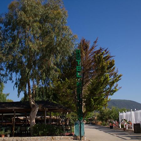 Hotel Hellas Epidaurus Εξωτερικό φωτογραφία